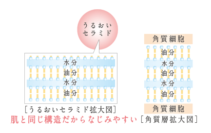 プモア-日本盛の化粧品-ミルキーローション＆クリームの口コミ・評判